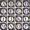 Monogram cross stitch pattern Purple Name embroidery pdf Counted cross stitch alphabet Personalized pattern Digital cross stitch sampler